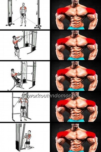 Best Cable Shoulder Workout for Stronger Delts #shorts