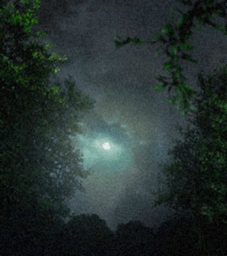 #mitski #lyrics #washingmachineheart #song #fyp | Washing Machine Heart Song By Mitski