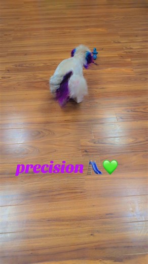 𝐻𝒶𝓅𝓅𝓎 𝒩𝑒𝓌 𝒴𝑒𝒶𝓇 from 𝓟𝓻𝓮𝓬𝓲𝓼𝓸𝓷 𝓖𝓻𝓸𝓸𝓶𝓲𝓷𝓰 💜✨