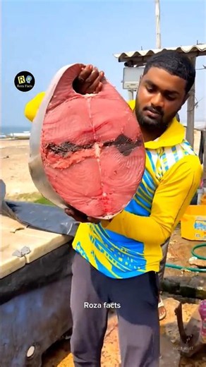 The Meat of This Fish Is not bad 🐟