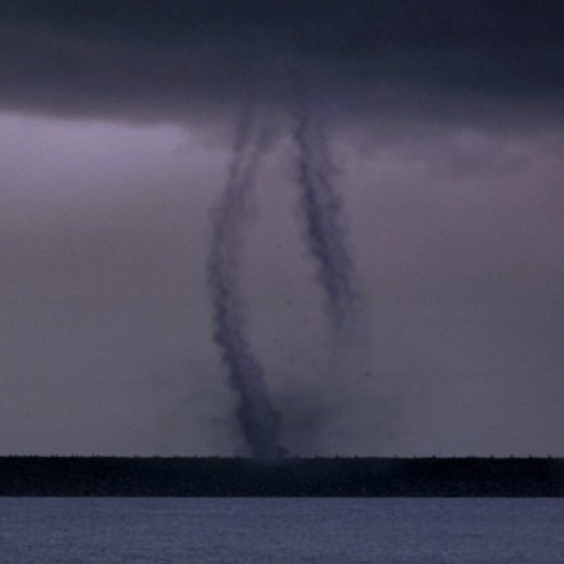 18K views · 241 reactions | Flying cows would be the least interesting thing to happen in 2020. #TBT to this scene from Twister  | Netflix Family | Facebook