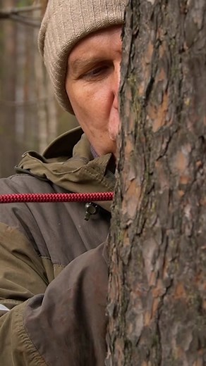 HOW TO PULL A a ROPE BETWEEN TREES | way 1 #bushcraft #survival #knot #rope #outdoors #fyp