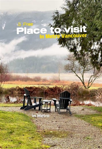 5 Unique Free Activities in Metro Vancouver