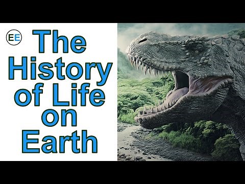 The history of life on Earth | EvolutionExamples