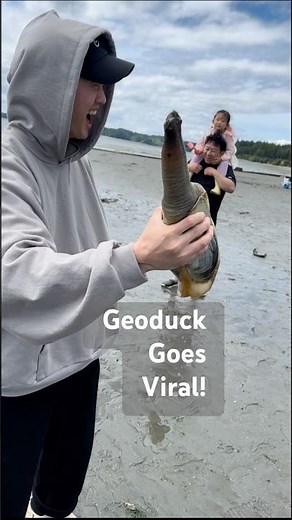 BIGGEST Clam Ever? 4lb Geoduck Sparks Hollywood Moment on the Beach!