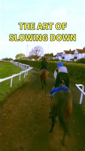 What It Really Takes to Stop a Racehorse at Full Gallop?