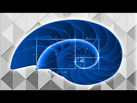 The Mystery at the Bottom of Physics