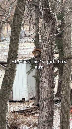 Poor dudes cold… | tall nut crying