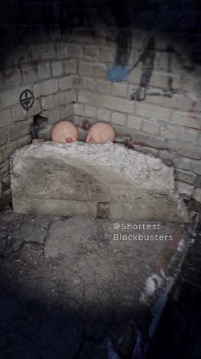 Twin Aliens Horror Nightmare: Kids Resembling Extraterrestrials