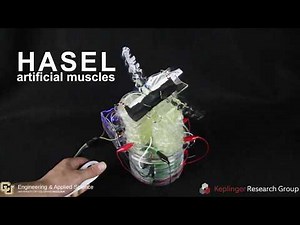 An easy to implement toolkit to create HASEL artificial muscles