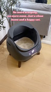 1.6M views · 5.6K reactions | Catlink self cleaning cat litter box #catlinklitterbox #catlitterbox #automaticlitterbox #catlink #cathealth #ailitterbox | Meow moment | Facebook