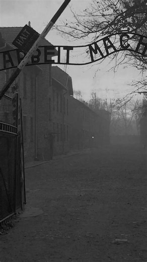 Witness the extraordinary true story of a man who turned art into resistance. 🎬 Bau: Artist at War — Now Playing! In theaters only, experience history's darkest moments illuminated by love and survival. Discover how one artist defied the darkness with brushstrokes of hope. https://www.baumovie.com/ #ArtAsResistance #HolocaustHistory #NeverForget | Bau, Artist At War