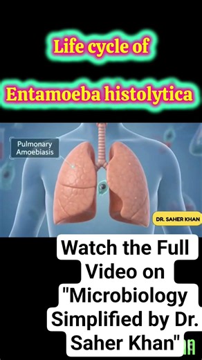 Entamoeba histolytica Life Cycle in Just 2 Minutes#shorts#ytshorts #entamoeba#