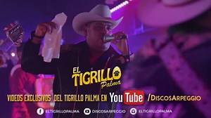 Los Chiqui Narcos - En Vivo Desde Phoenix El Tigrillo Palma Video Completo >> https://youtu.be/2C3XbwqKv6I | El Tigrillo Palma