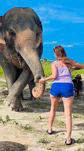 Hathi mera Sathi.....❤️💪 | Sujita Parmar