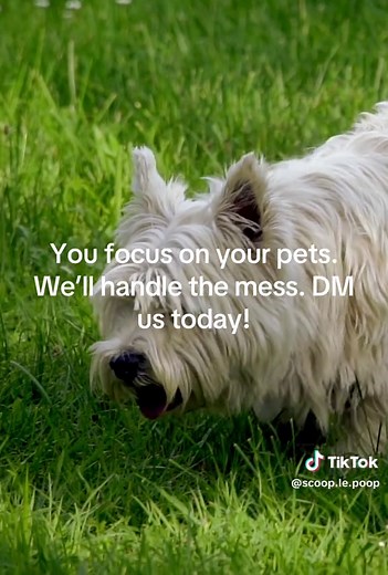 Being a pet owner is a full-time job—but you don’t have to do it all! 🐶 Let Scoop Le Poop handle the dirty work so you can focus on the fun stuff. 📩 DM us today to schedule your first cleaning! #ScoopLePoop #PetOwnerLife #HoustonPets #CleanYardsHappyPets #DogLoversHouston #RelatablePetContent #HoustonLife #PetCareMadeSimple