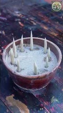 From Bamboo to Brushstroke: Watch a 2,000-Year-Old Calligraphy Brush Being Made!