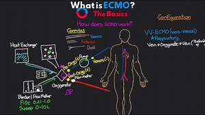 What is ECMO? How does ECMO work? Who is it used for? ICU Advantage answers all these questions and more. Continue watching in My Mastery: https://nclexrn.builtbyhlt.com/deeplinks/deck/177 | Nursing and NCLEX Mastery