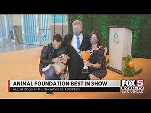 All 24 dogs adopted from Animal Foundation's Best In Show
