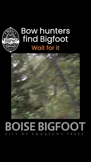 126K views · 2K reactions | Five minutes!! He stares at you, and this...