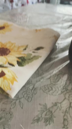 Ana Maria Lara (@anamarialara09)’s videos with sonido original - recordando...ando