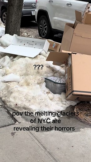 Impact of Polar Ice Melting on New York City