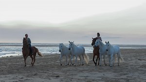Tempête (France 2) : où est tourné le film avec Pio Marmaï et Mélanie Laurent ?