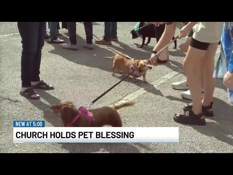 First United Methodist Church hosts pet blessing event
