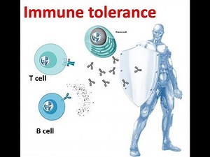 L19: Immunology: immune tolerance (self and non-self discrimination)