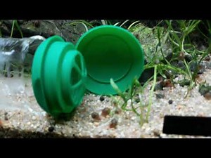 Piège à escargot aquarium