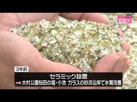 NIB news every.シリーズ海「”特殊なセラミック”で水質浄化」