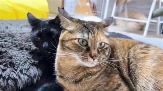 整数「０」の呼び方・・・