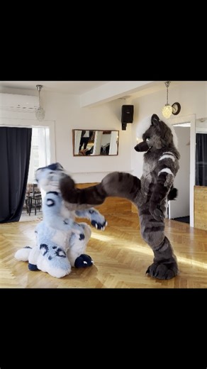 Espresso on Instagram: "Sometimes you gotta put your toy in its place 🐈: @furrymyad #fursuit #fursuitfriday #fursuiters #hyena #yeen #snowleopard #furry #espressoyeen"