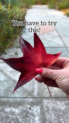 I make this every year. #crown #autumnleaves #mom | The Lauren Show