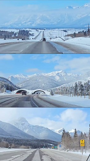 7.6K views · 43 reactions | The Road to the Rockies 冀 .  All the pictures and videos are taken by IJ Annie's Vlog . #canada #fbreels #travel #beautifulplaces #fbreelsvideo #banff #alberta | Calgary Connections | Facebook