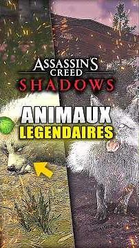 All Legendary Sumi-E (Animals) in Assassin's Creed Shadows 😍 GUIDE