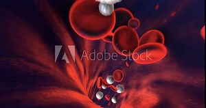 Human Blood Cells Flowing Slowly Inside Human Vein With Small Particles. Perfect Loop. Science And Health Related High Quality 3D Animation.