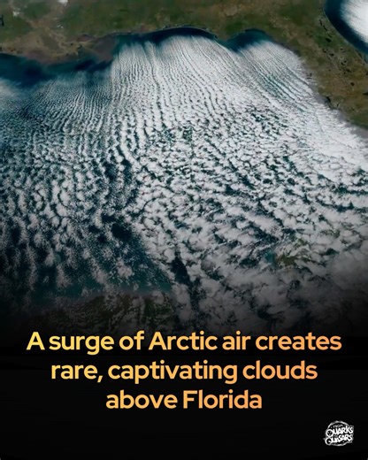 A deep freeze over Florida just created “cloud streets.” An Arctic air mass pushed deep into the southeastern U.S. this week — and revealed a rarely seen atmospheric pattern called “cloud streets.” Captured on Feb. 1 by NOAA’s GOES-19 satellite, these long, evenly spaced lines of clouds formed as bitterly cold, dry air swept over the relatively warm waters of the Gulf of Mexico and Atlantic Ocean. The result: a pattern of parallel cumulus clouds stretching for miles, aligned with the wind. The p
