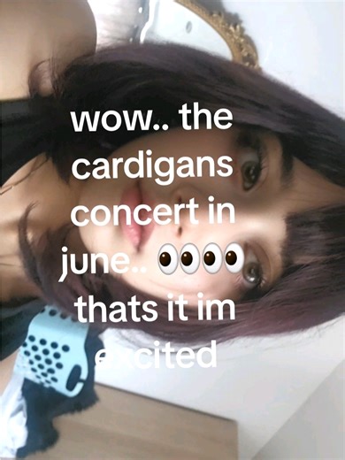 The Cardigans Concert Excitement in London