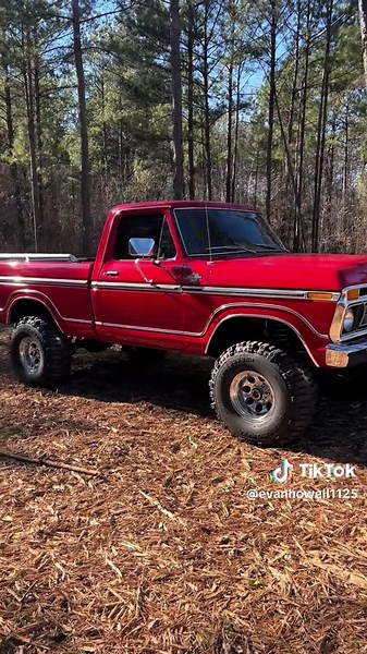 Driving a Classic Ford F250: Experience the Power