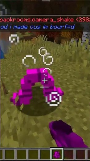 Minecraft But Everything Is Randomized! 😱