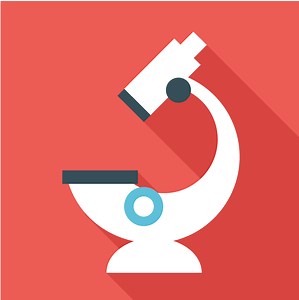 Writing Task 2 Tips for IELTS (Question Analysis)