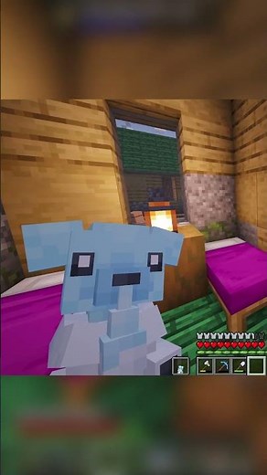 PokeDoll Addon Mod in Cobblemon #cobblemon #gaming