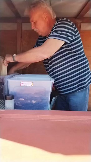 Creative Ways to Use Clear Plastic Containers