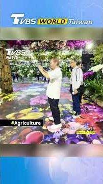 Taiwan hosts world’s top three orchid exhibition in Tainan #蘭展 #台南 #SHORTS