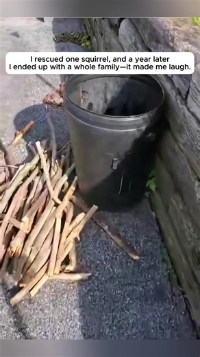Squirrel Rescue: A Heartwarming Family Moment