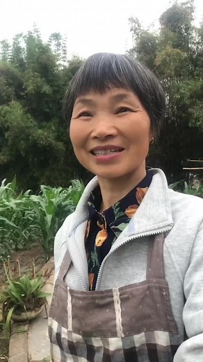 阳光彩虹小白马 中文儿歌完整歌词与信息