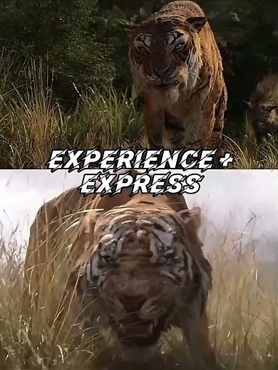 shere khan 2016 vs shere khan 2018
