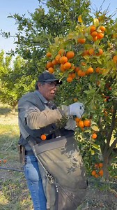 237K views · 3.4K reactions | Este trabajador sigue siendo uno de los mas rapidos‍ | Puros Trabajadores | Facebook