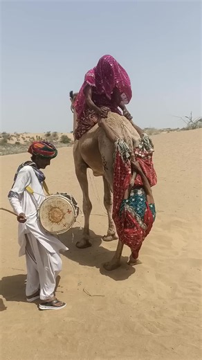 Thar Desert Wedding: Drums, Dance & Culture